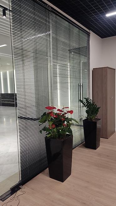 Жалюзи и рольшторы: Горизонтальные жалюзи на окна - Тип: классические горизонтальные — 8