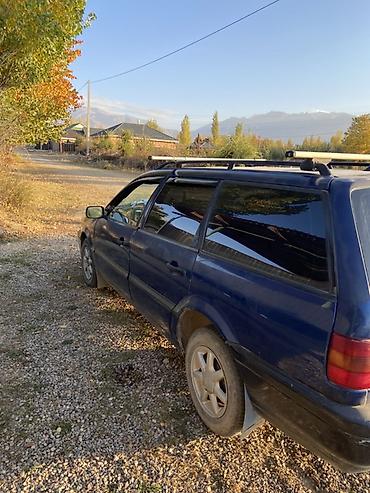 sliv pantera: Volkswagen Passat Variant: 1994 г., Механика, Бензин, Универсал — 4