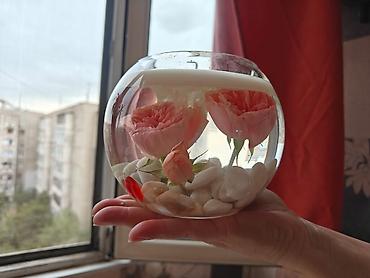 вечные розы: Магия в стекле: Цветы, которые не завянут, и огонь, который согреет! — 1