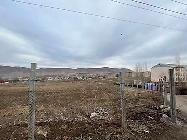 оптовый товар: 40 соток, Для бизнеса, Красная книга — 4