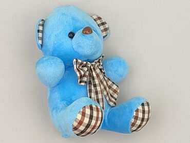 Mascot Teddy bear, condition - Perfect