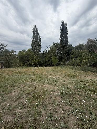 дом на обмен: 📍 В Сокулуке от трассы 900 м продается дом на участке 7 соток, 95 — 3
