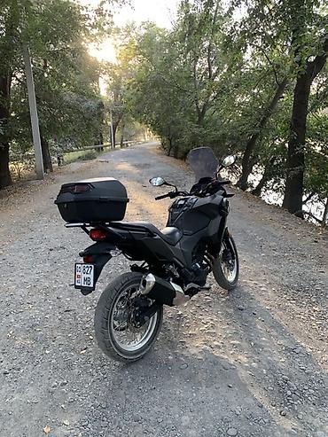 kawasaki ninja 300: Adventure Kawasaki, 300 куб. см, Бензин, Взрослый, Б/у — 3