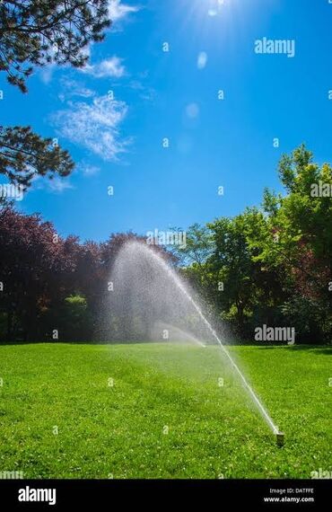 taxt ustu: Bağlarda suvarma sistemi ilə birlikdı qazon əkilməsi
