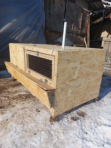 Товары и оборудование для с/х животных: Жөжөлөрго Бурдерлер Жөжө Капас Бар жөжөгө Ар кыл размер ар кыл баада at lalafo.kg — 3 Товары и оборудование для с/х животных: Жөжөлөрго Бурдерлер Жөжө Капас Бар жөжөгө Ар кыл размер ар кыл баада — 3