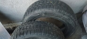 Шины: Шины 195 / 65 / R 15, Зима, Б/у, Пара, Легковые, Япония, Dunlop