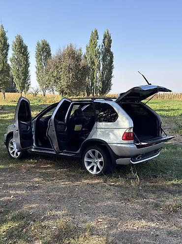 BMW: BMW X5: 2002 г., 4.6 л, Автомат, Бензин, Кроссовер — 5