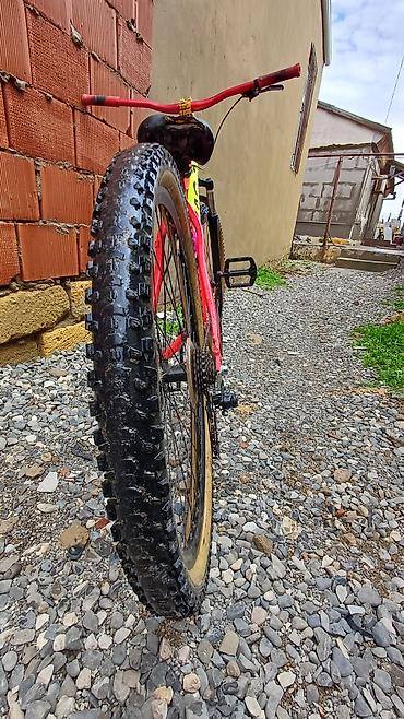 Dağ velosipedləri: ZIGZAG dağ velosipedi - Çərçivə: yüngül alaşımlı hardtail, parlaq — 6