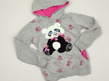 szary sweterek dla dziewczynki: Bluza, 3-4 lat, 98-104 cm, stan - Dobry