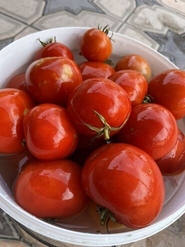 купить уголь в бишкеке цена: Помидоры Красные, Оптом