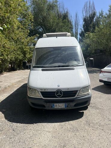 аренда спринтер холодильник: Легкий грузовик, Mercedes-Benz, Стандарт, 1,5 т, Б/у
