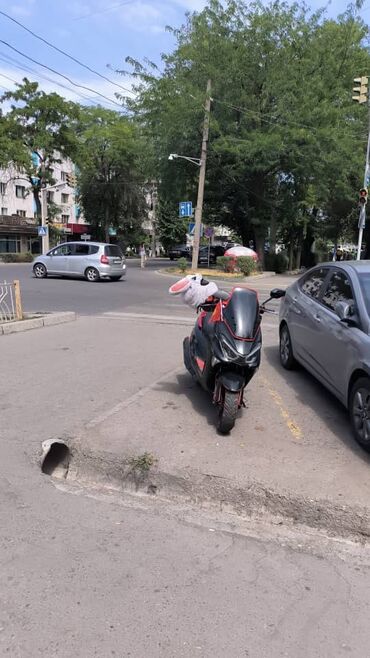 купить боковое стекло на спринтер: Черный макси скутер с красными акцентами, оснащенный высоким ветровым
