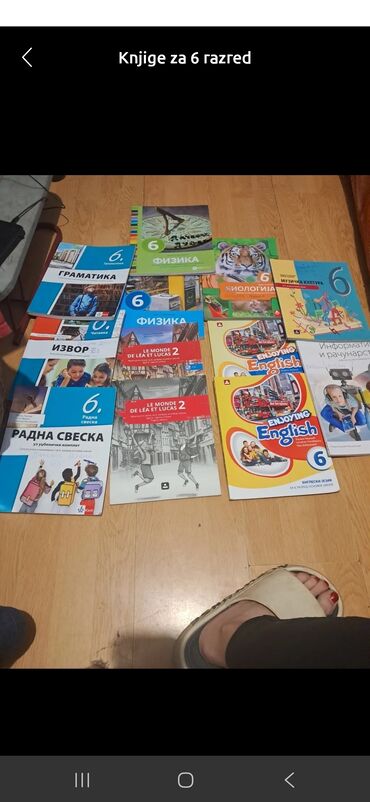 prada torba za plazu: Knjige za 6
