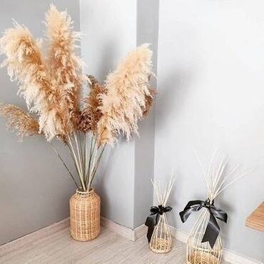 ev satislari: Natural Pampas otu satışı. Tökülmür, saxlama müddəti 2-3 il. ✔️Pulsuz at lalafo.az ev satislari: Natural Pampas otu satışı. Tökülmür, saxlama müddəti 2-3 il. ✔️Pulsuz