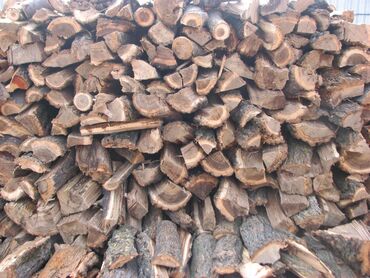 дрова в бишкеке: Дрова Карагач, Самовывоз, Бесплатная доставка
