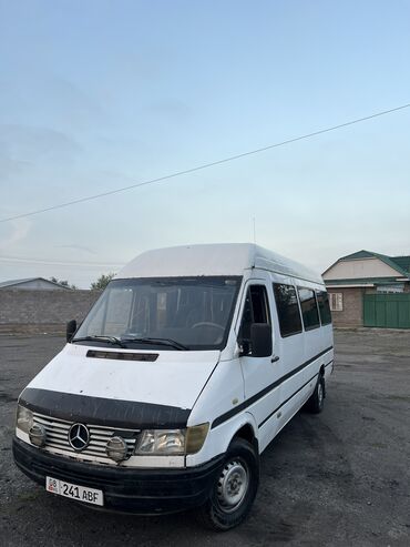 купить краску для кожи авто: Mercedes-Benz Спринтер: 1989 г., 2.9 л, Механика, Дизель, Бус