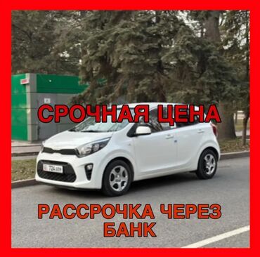 фары для нексии: Белый автомобиль Kia morning, компактный хэтчбек, идеально подходящий