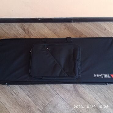 сумки италия: Сумка-кейс жёсткий корпус, новая для элек.гитар,фирма Proel писать в