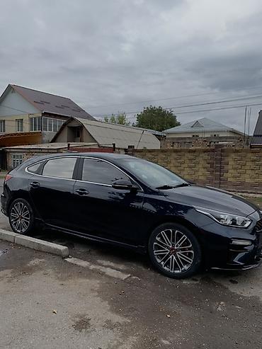 суппорт нексия: Kia K3: 2020 г., 1.6 л, Бензин, Хэтчбэк — 2