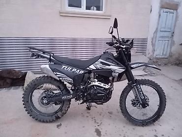 Мототехника: Эндуро-мотоцикл TULPAR 300 кубовый (dual-sport) - Тип — 2