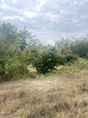 Torpaq sahələrinin satışı: 110 sot, Tikinti — 8