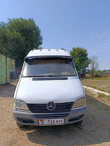 силк вэй: Mercedes-Benz Спринтер: 2004 г., 2.9 л, Механика, Дизель — 5
