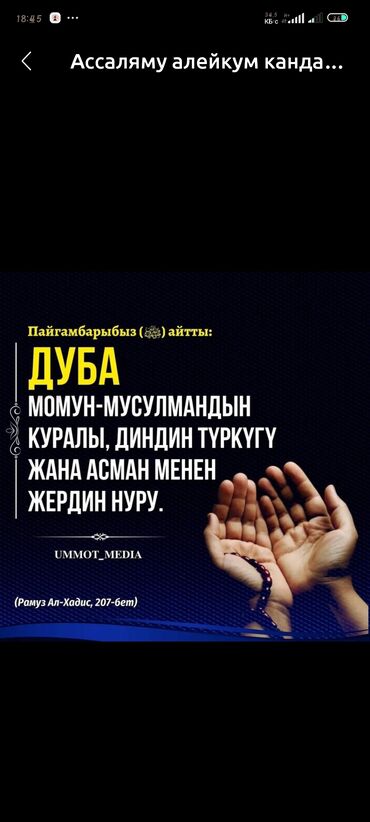 гардеробный шкаф в прихожую: Плакат/баннер с исламской тематикой - Дизайн: темный фон, крупная