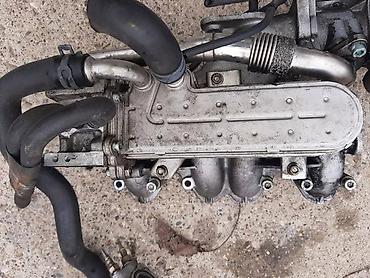 1.5 dci delphi: HLADNJAK EGER VENTILA ZA VOLKSWAGEN GOLF 4 OD 2001. DO 2005. GOD. | — 2