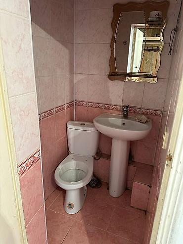 комнаты иссык: Кошара, 42 соток, Действующий, Частично с оборудованием, Электричество, Холодная вода — 7