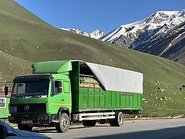 мерседес 815: Грузовик, Mercedes-Benz, Стандарт, Б/у — 1