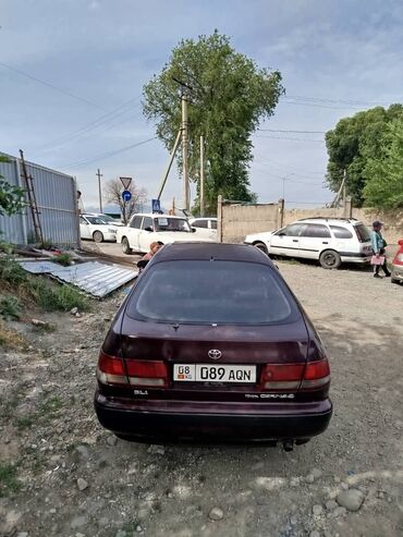 машны: Toyota Carina E: 1992 г., 1.6 л, Механика, Бензин, Хэтчбэк