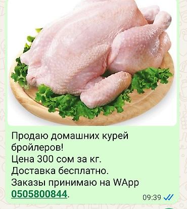 куры: Домашние куры-бройлеры, потрашённые, целые тушки. Подходят для — 1