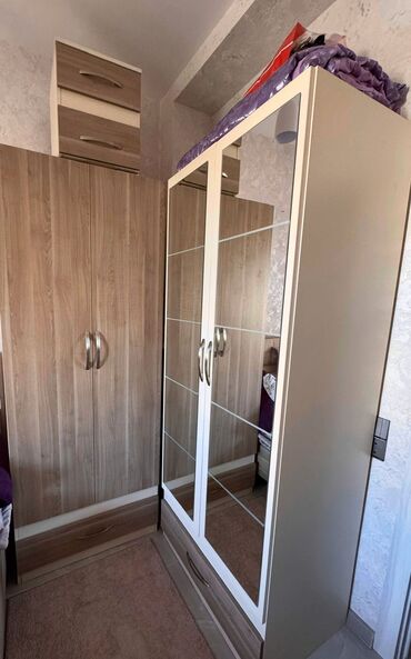 embawood tek carpayilar: İşlənmiş, Açılan, 2 qapılı Düz dolab, Dolab-asılqan