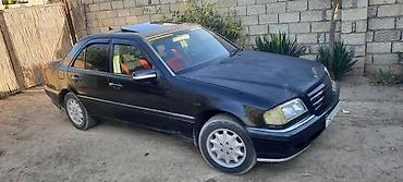 Mercedes-Benz: Mercedes-Benz — 12