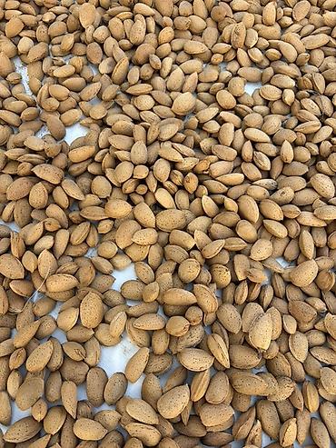 cerez: Sirin Təbii qabıqlı badam satilir, Tovuzda yetisidirilb, Bakiya — 2