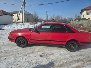 ауди сатам: Audi 100: 1991 г., 2 л, Механика, Газ, Седан