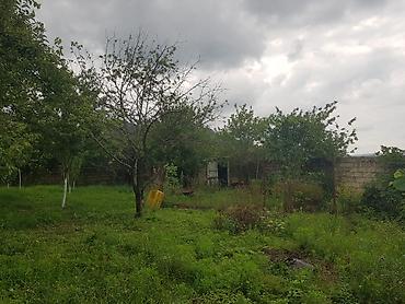 naxcivan satilan heyet evleri: 6 sot, Tikinti, Mülkiyyətçi, Kupça (Çıxarış) — 5