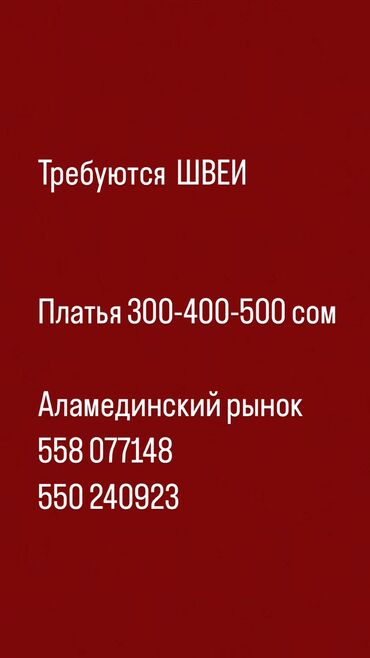 шым надомница: Швея Прямострочка. Аламединский рынок / базар