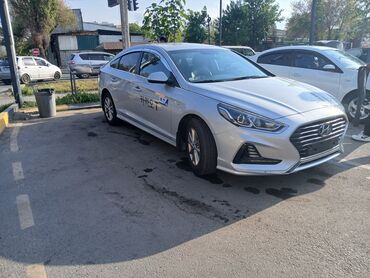 hyundai getz: Hyundai Sonata: 2018 г., 2 л, Автомат, Газ, Седан