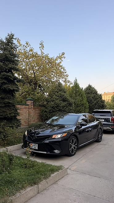 тормозной диск камри 55: Toyota Camry: 2019 г., 2.5 л, Автомат, Бензин, Седан — 3