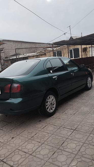 Nissan: Nissan Primera: 2001 г., 1.8 л, Механика, Бензин, Хэтчбэк — 3