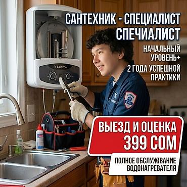 Мелкий ремонт сантехники / Чистка Аристона / Чистка смесителей