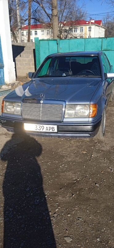 мерс дипломат: Mercedes-Benz W124: 1991 г., 2.6 л, Автомат, Бензин, Седан