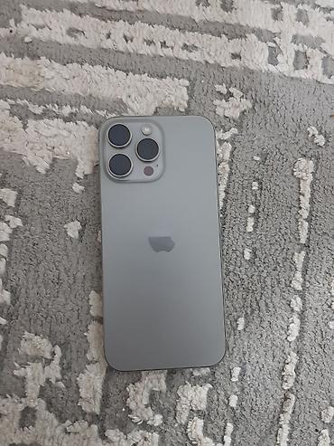 ipad pro max: IPhone 16 Pro Max, Б/у, 256 ГБ, Серебристый, 100 % — 2
