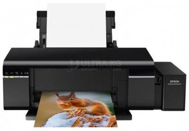 принтер этикетки: Printer Epson L805 (A4,37/38ppm Black/Color,64-300g/m2,5760x1440dpi