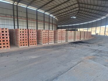 Строительный кирпич: Пустотелый, дырчатый, Жженый кирпич, Одинарный, 250×120×65 — 2