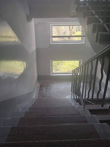 Другие виды отделочных работ: Больше 6 лет опыта — 14