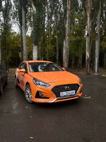 купить машину хендай солярис: Hyundai Sonata: 2017 г., 2 л, Автомат, Газ, Седан
