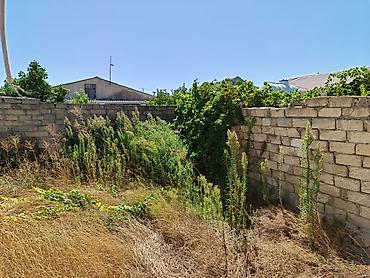 bag satilir: Bakı, 50 kv. m, 1 otaqlı, Qaz, Su, İşıq — 6