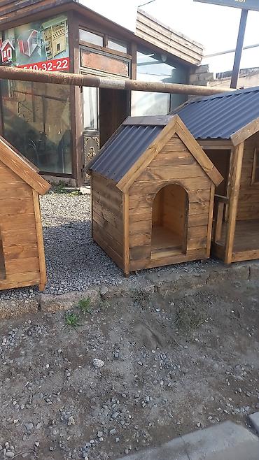 Yuvalar: Darvazabazari.az oz mehsullarin teqdim Edir Diqqetle Oxuyum Bu — 2